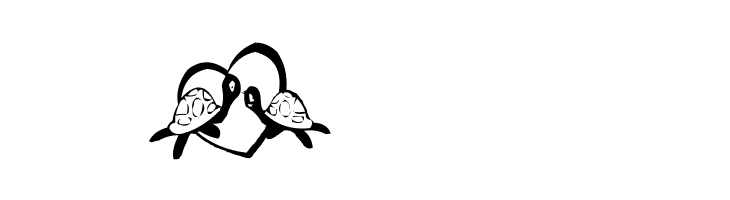 AEZ another turtle font  Free Fonts Download