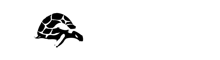 AEZ another turtle font  Free Fonts Download