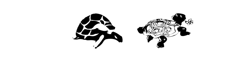 AEZ another turtle font  Free Fonts Download