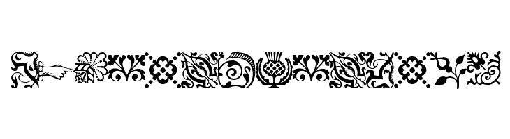 ACaslonOrnamentsModified  Free Fonts Download