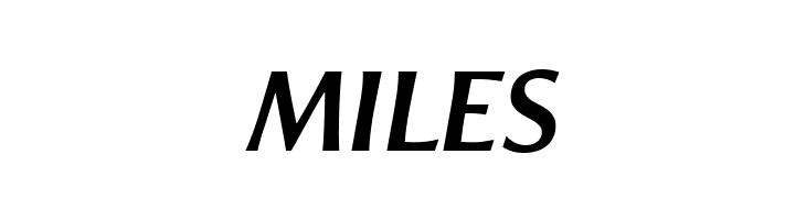 ResavskaBGSans-BoldItalic  Free Fonts Download