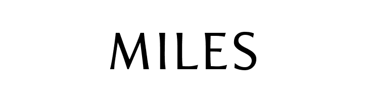 ResavskaBGSans  Free Fonts Download