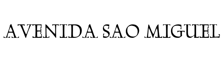 Megaserif One Demo  Free Fonts Download