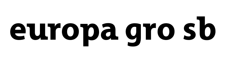 Grandesign Neue Roman Bold  Free Fonts Download