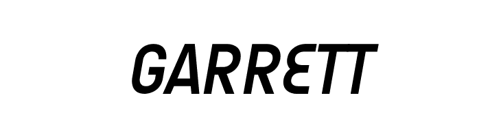 AUdimat Bold Italic  Free Fonts Download