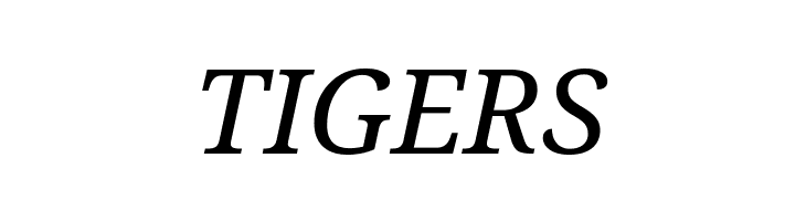 Droid Serif Italic  Free Fonts Download