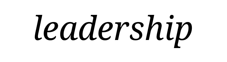 Droid Serif Italic  Free Fonts Download