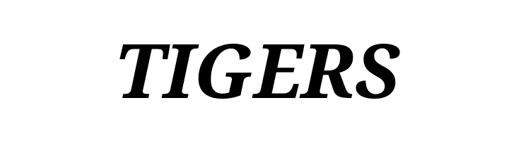 Droid Serif Bold Italic  Free Fonts Download