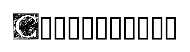 Pyle Initials Demo  Free Fonts Download