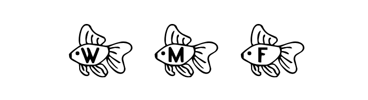 RMFish2  Free Fonts Download
