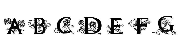 Flora1  Free Fonts Download