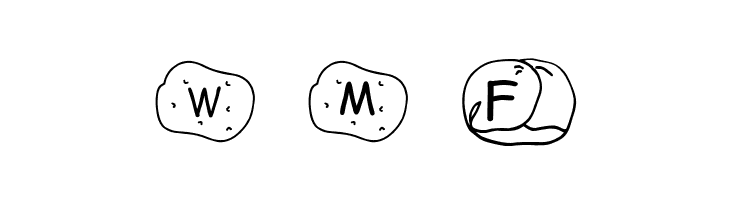 Oyachai Font  Free Fonts Download