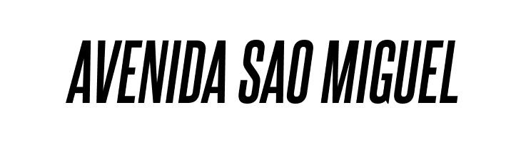 SteelfishRg-BoldItalic  Free Fonts Download