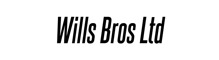 Wills%2BBros%2BLtd SteelfishRg-BoldItalic Font