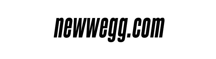 newwegg.com SteelfishEb-Italic Font