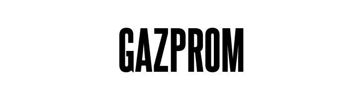 GAZPROM SteelfishEb-Regular Font
