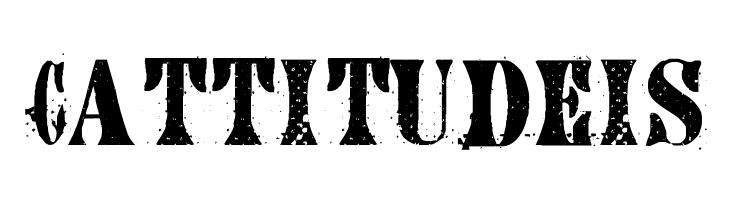 CA AfterMidnightSalePreshrunk  Free Fonts Download