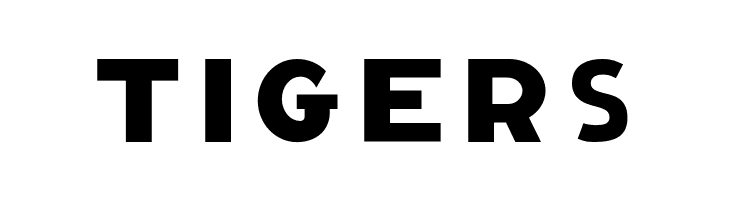 CAGingerMintFill  Free Fonts Download