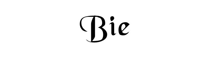 BlackChancery Regular  Free Fonts Download