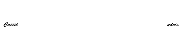 BrushScript-Normal-Italic  Free Fonts Download