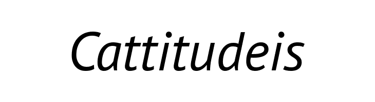 PT Sans Italic  Free Fonts Download