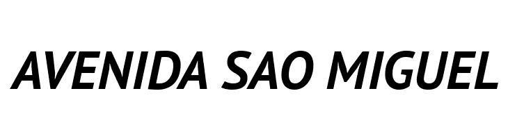 PT Sans Bold Italic  Free Fonts Download