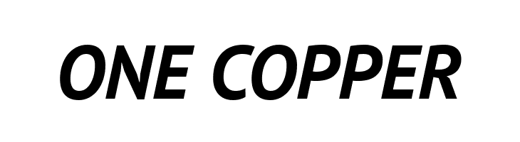 PT Sans Bold Italic  Free Fonts Download