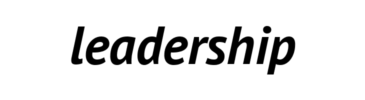 PT Sans Bold Italic  Free Fonts Download