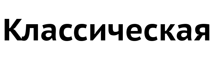 PT Sans Caption Bold  Free Fonts Download