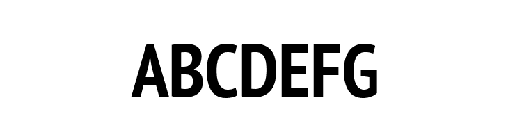 PT Sans Narrow Bold  Free Fonts Download