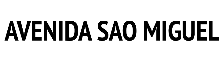 PT Sans Narrow Bold  Free Fonts Download