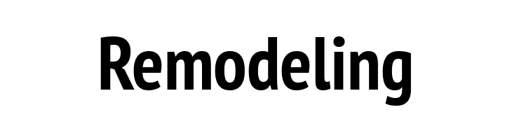 PT Sans Narrow Bold  Free Fonts Download