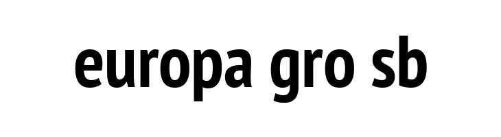 PT Sans Narrow Bold  Free Fonts Download