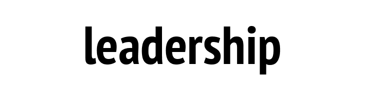 PT Sans Narrow Bold  Free Fonts Download