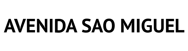 PT Sans Bold  Free Fonts Download