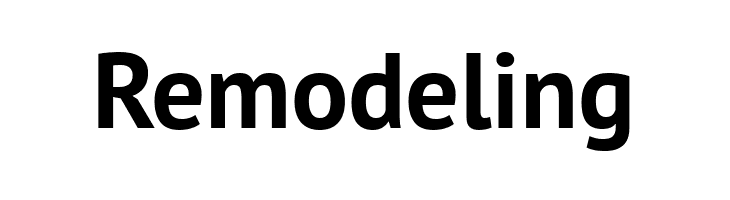 PT Sans Bold  Free Fonts Download