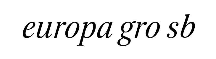 Serif-Italic  Free Fonts Download