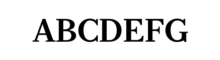 Serif12Beta-Bold  Free Fonts Download