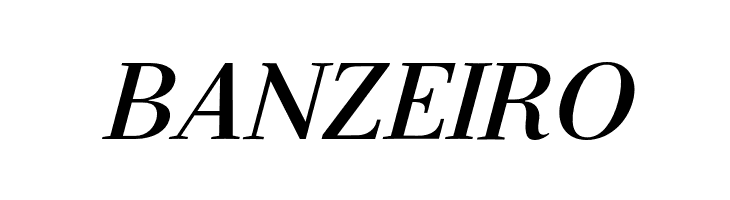 Serif-BoldItalic  Free Fonts Download