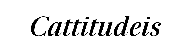 Serif-BoldItalic  Free Fonts Download