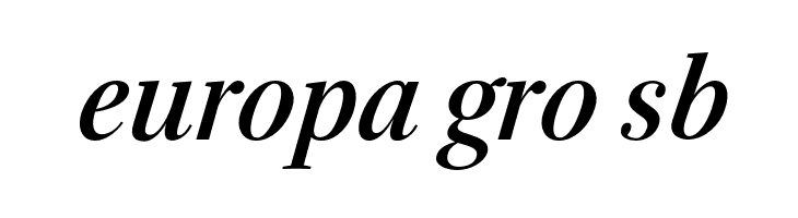 Serif-BoldItalic  Free Fonts Download