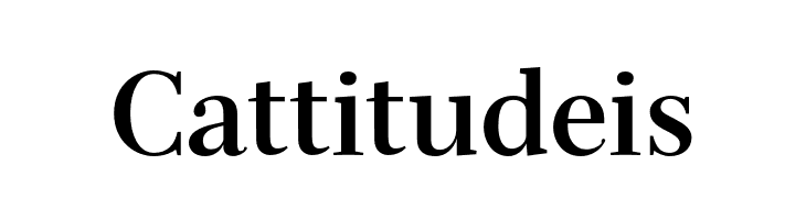 Serif-Bold  Free Fonts Download