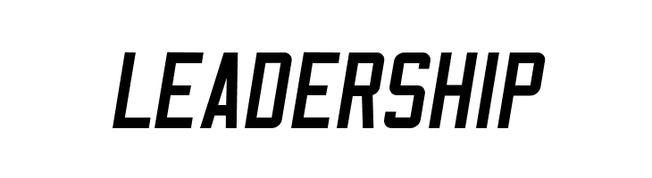 NHL Carolina  Free Fonts Download