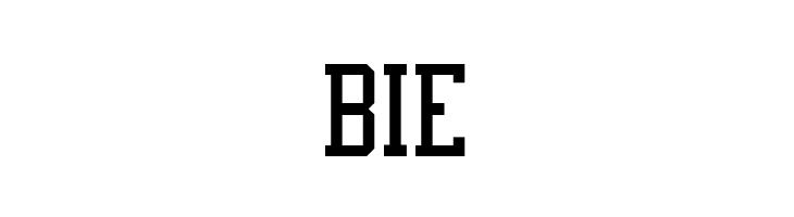 NFL Cowboys Throwback  Free Fonts Download