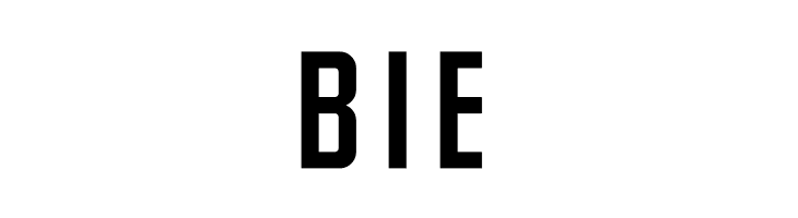 NHL Edge Anaheim  Free Fonts Download