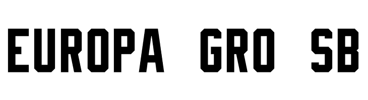 NHL Edge Tampa Bay  Free Fonts Download