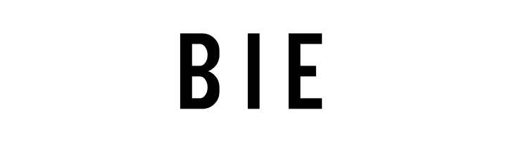 NHL Edge Washington  Free Fonts Download