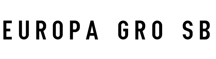 NHL Edge Washington  Free Fonts Download