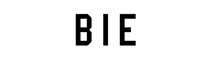 NHL Edge New York Islanders  Free Fonts Download