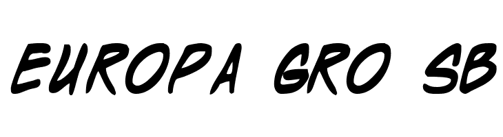 Wyld Stallyns Bold  Free Fonts Download